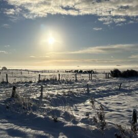 Sylt im Winterkleid – wenn die Insel zum Winterwonderland wird